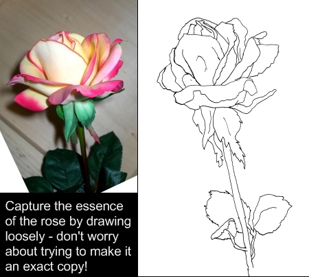 450x404 Rose Drawings