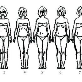 261x261 Body Contour Images Used By Participants. Download Scientific