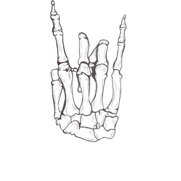 600x600 Liked On Polyvore Featuring Fillers, Drawings