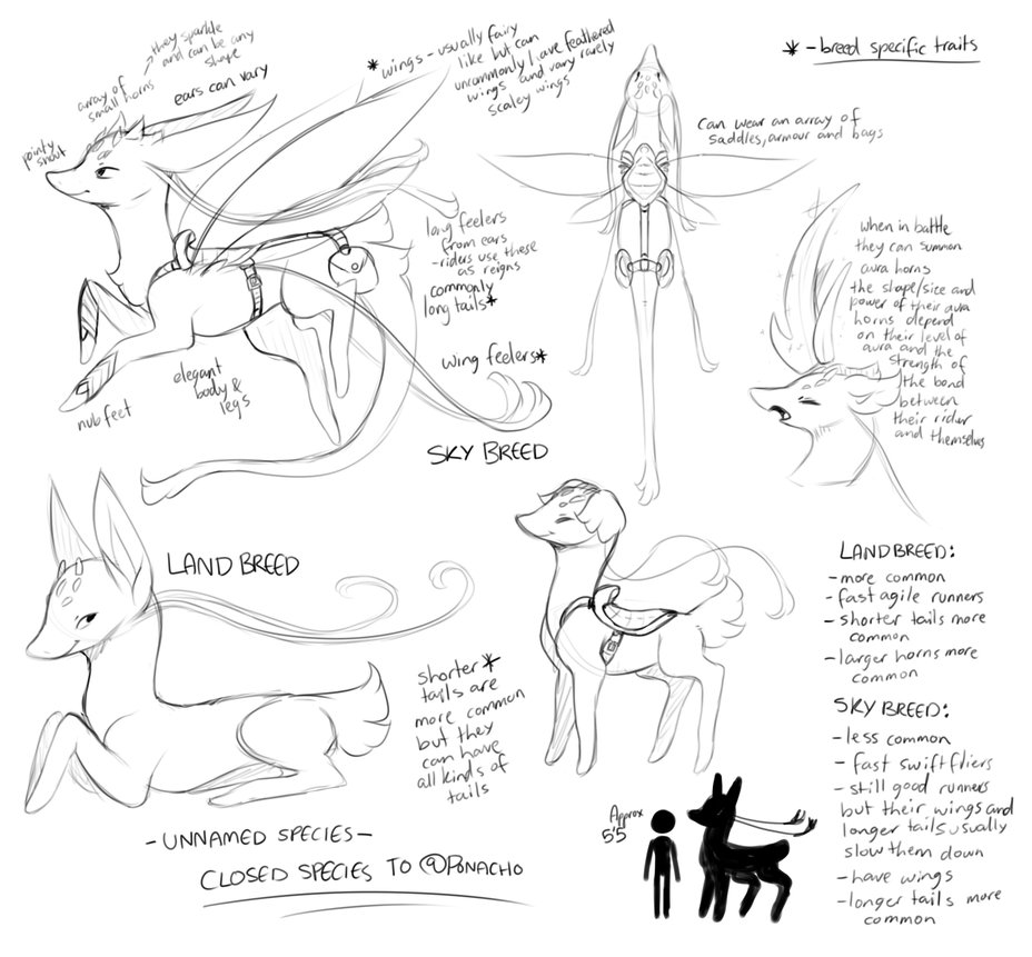 928x861 New Species Idea