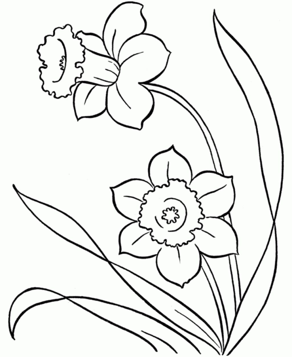 1025x1254 Cool Snowdrop Coloring Pages Line Drawings Of Snowdrops Google