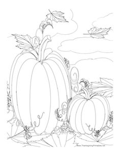 236x305 Pumpkin Drawing Thanksgiving Pumpkin Drawing