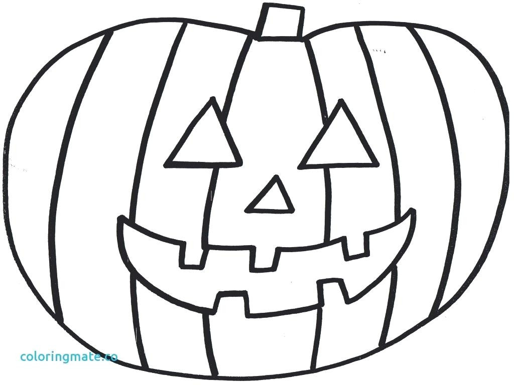 1024x768 Cat And Pumpkin Coloring Page Lovely 428 Best Coloring Halloween
