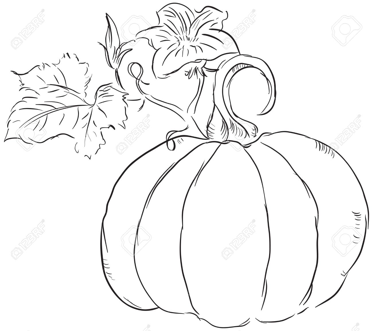 1300x1155 Drawn Pumpkin Leaf Free Collection Download And Share Drawn