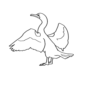 300x300 Learn How To Draw Animals Step By Step Page 57