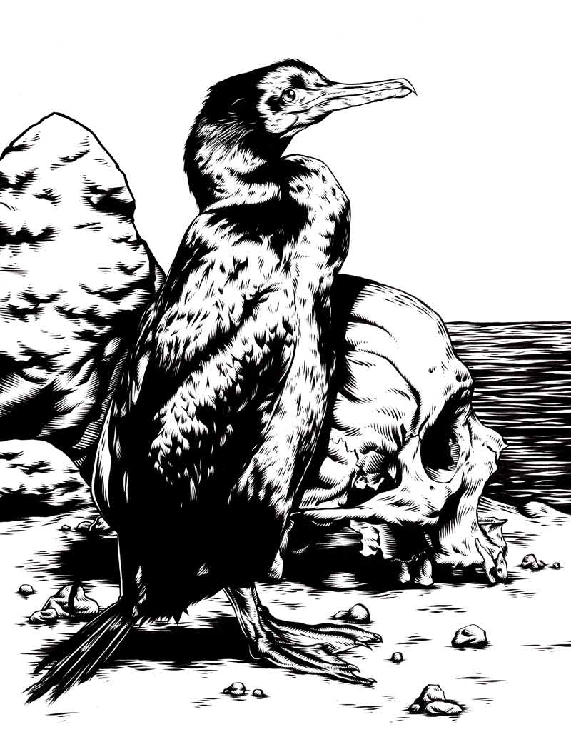 800x1025 Patrick Mathews Drawings