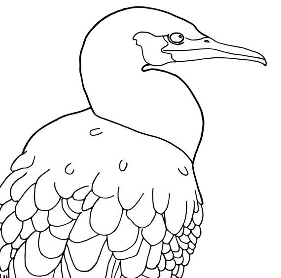 570x563 24 Best Colouring Pages Shop Images On Coloring Pages