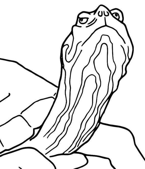 570x667 Ukai Japan Cormorant Fishing Coloring Page Sca Kids Coloring Pages