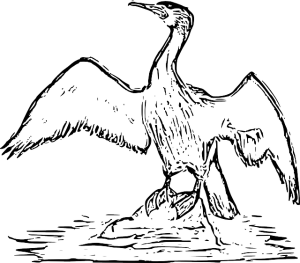 300x263 Behind The Photograph