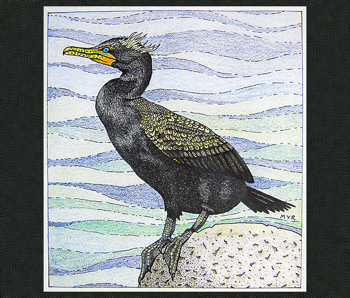 723x615 Draw A Bird Day Double Crested Cormorant Myr's Bytes