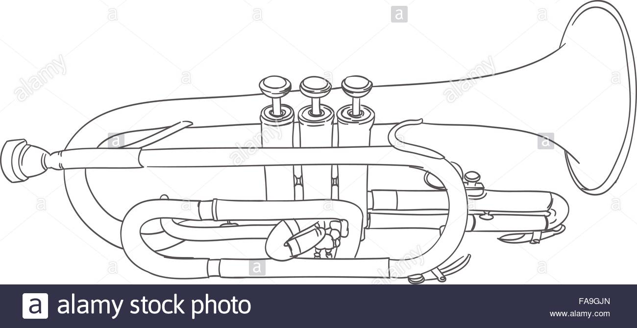 1300x670 Cornet Wind Musical Instrument Sketch On White. Vector Stock