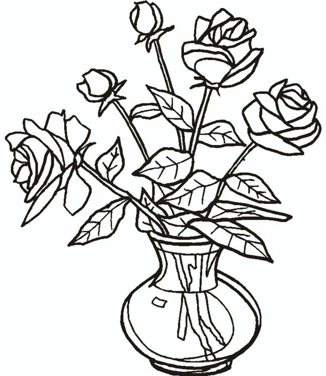 650x750 Pin By Daniela Vasile On Flowers Flowers