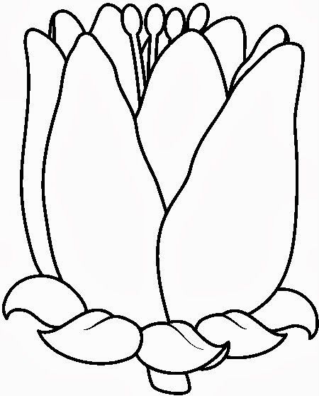 450x558 Pin By I T On Coloring