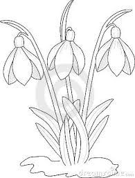 195x258 32 Best Flower Drawings Images On Flower Drawings