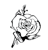 188x198 Wedding Gallery Amaryllis Flower Boutique