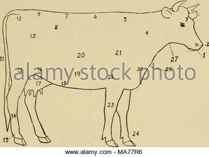 426x320 Elementary Agriculture Fig. 121 Diagram Of A Cow 1, Muzzle 2