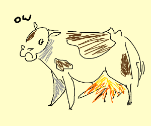 300x250 A Cows Udders Are Exploding