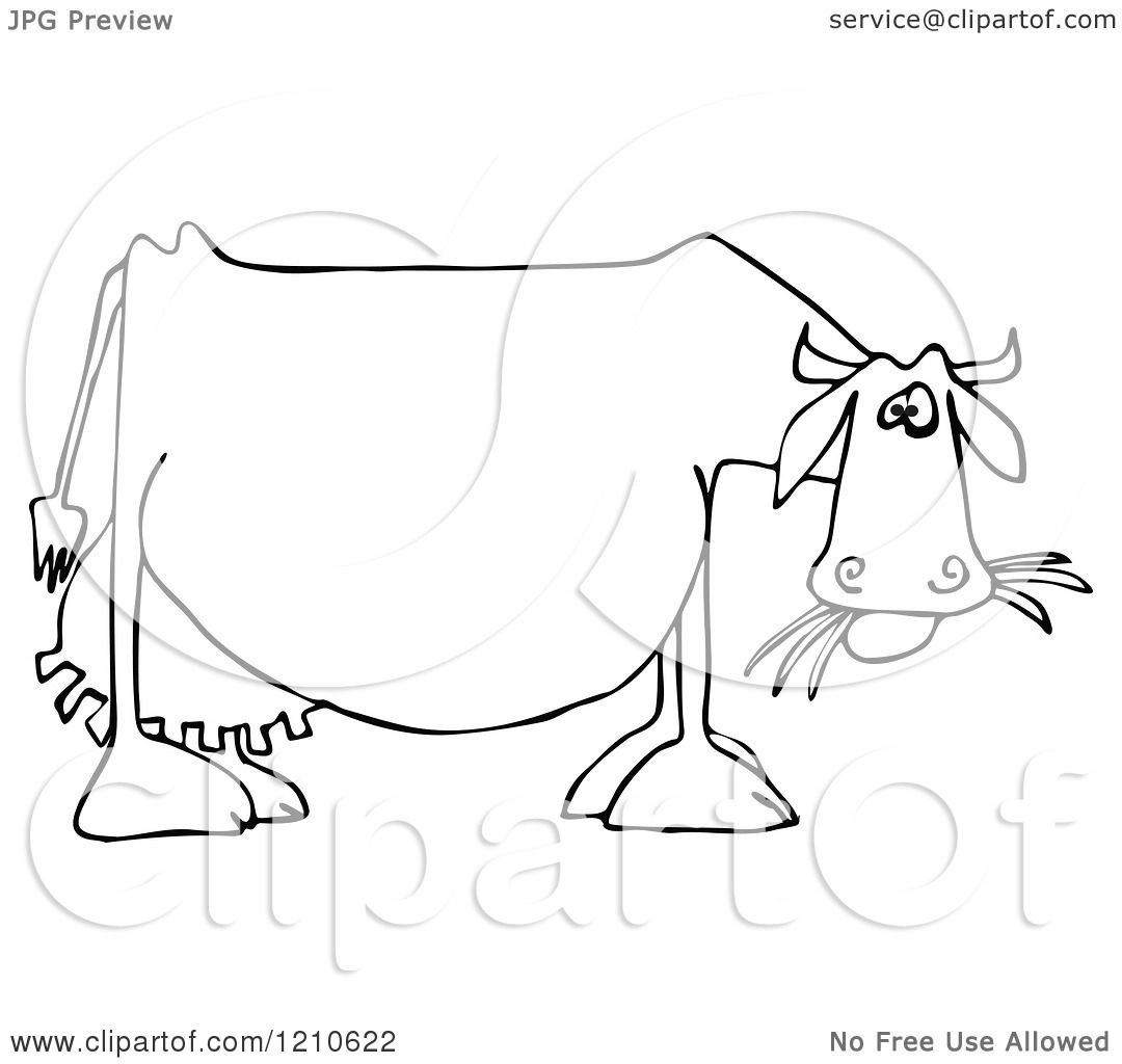1080x1024 Cartoon Of An Outlined Dairy Cow Eating Grass