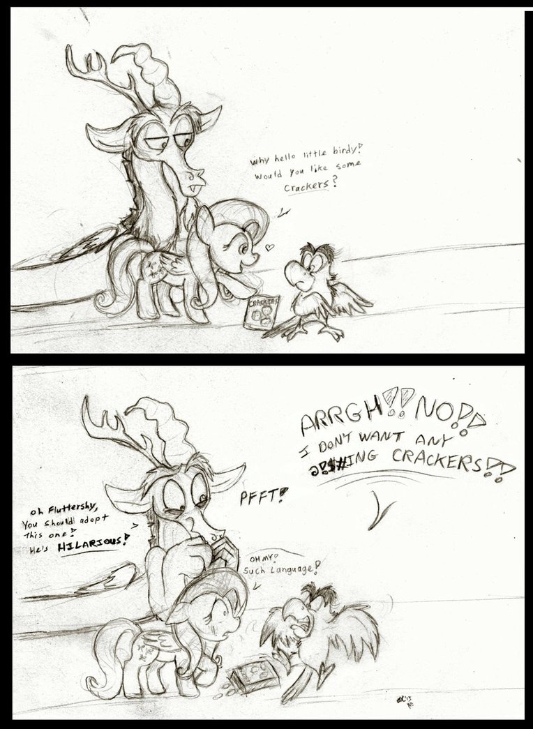 764x1045 Polly Want A Cracker (Sketch) By Socksthemutt