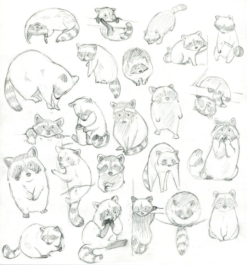 864x924 Raccoons! Eating Boxes Of Cracker Jacks, Cans Of Soda, And Toes