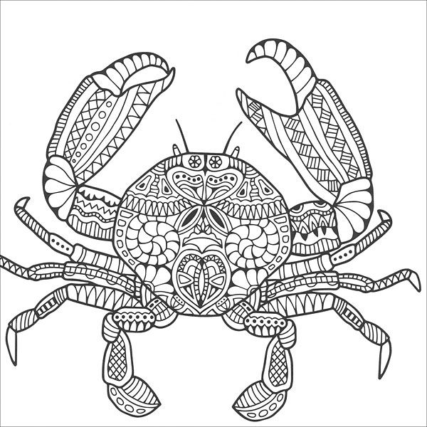 600x600 Zen Coloring Animals From Knitting By Guild