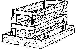 317x201 Pregnancy And Farrowing