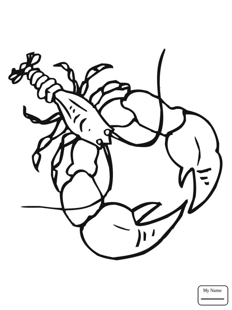 768x1024 Innovative Crayfish Coloring Page Crawfish Drawing At Getdrawings
