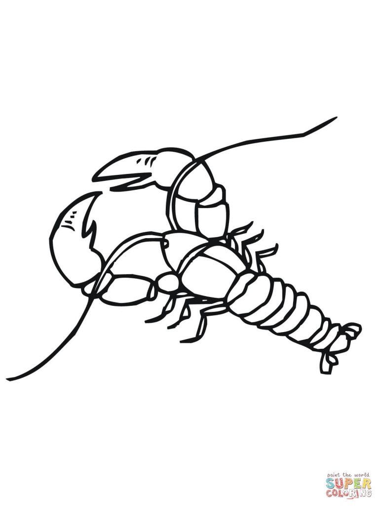 768x1024 Simplified Crayfish Coloring Page Pages Free Library