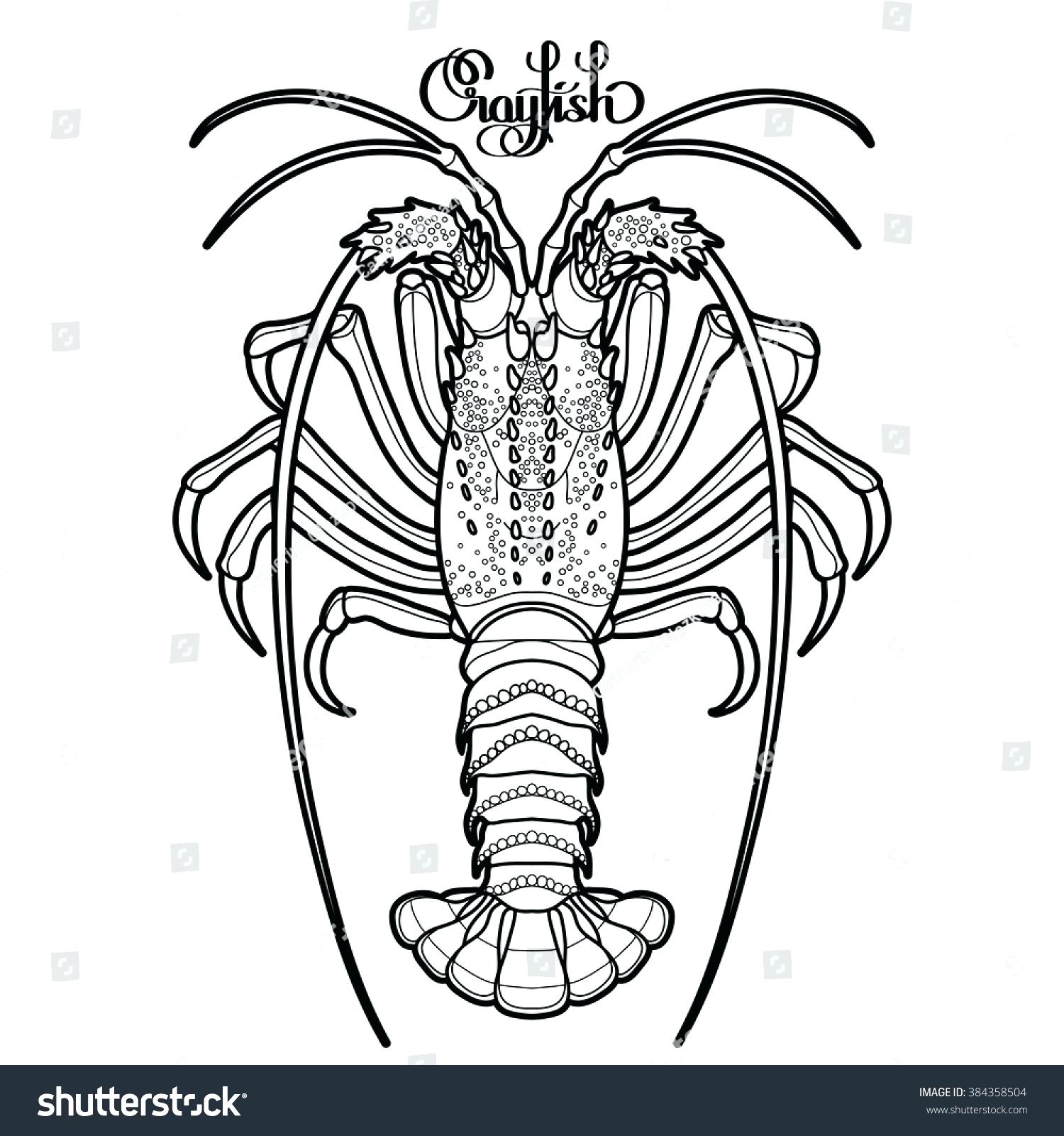 1500x1600 Crayfish Coloring Page Zoauanuyaz.co