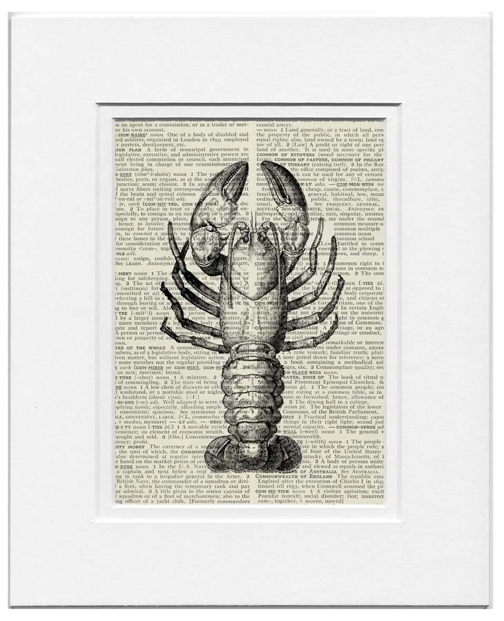 730x900 126 Best Crayfish Images On Conch Fritters, Fish