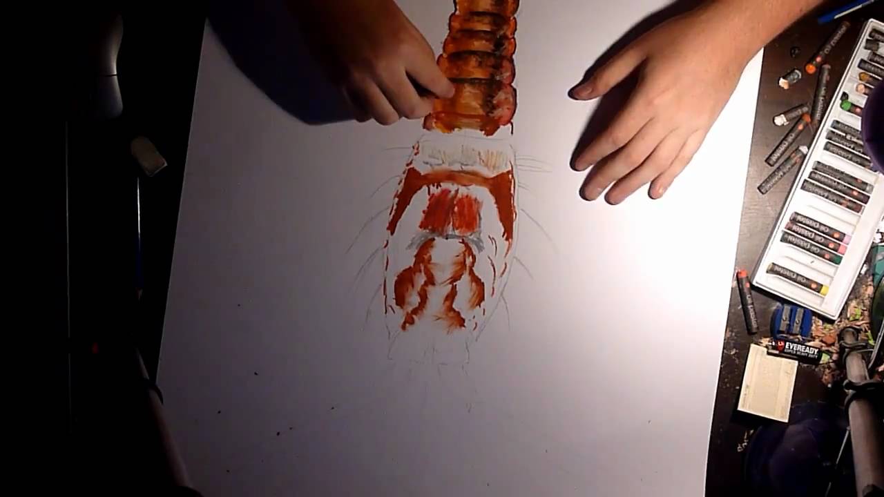 1280x720 Crayfish Drawing (Pastel)