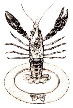 236x349 Crayfish Fyi Inherits Traits From Its Parents Such As The Number