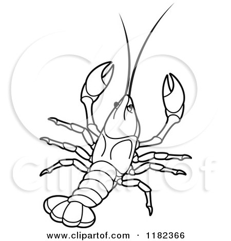 450x470 Clipart Of An Outlined Crayfish