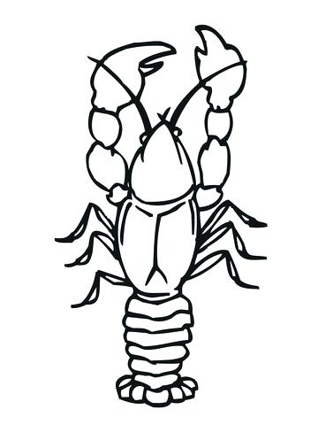 360x480 Coloring Page Free Printable Coloring Pages Funny Crayfish