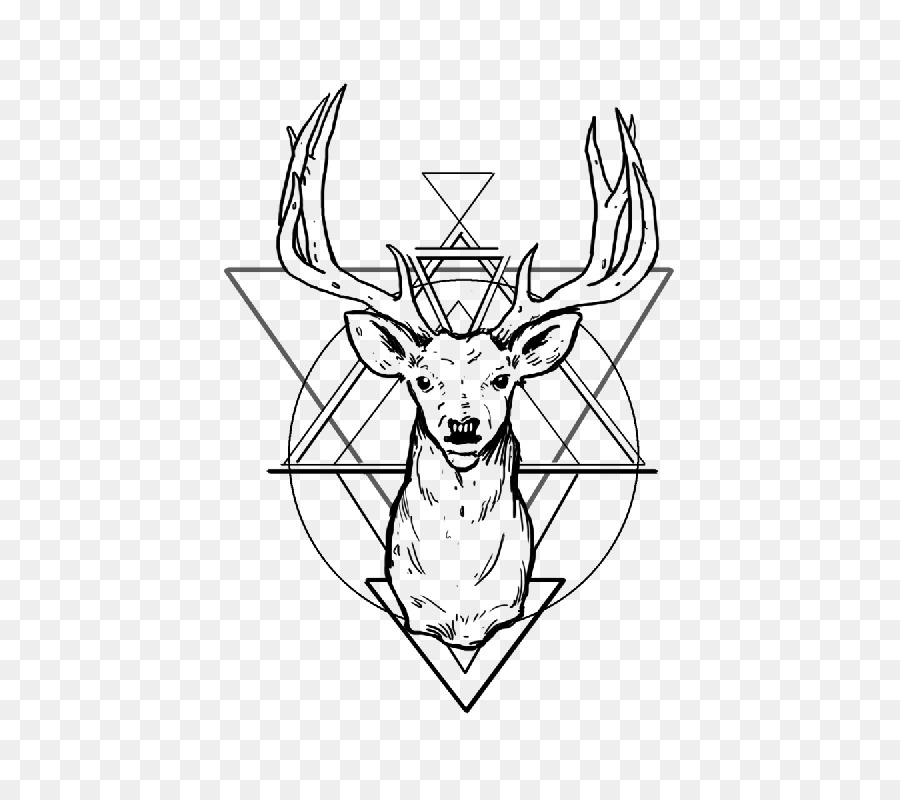 900x800 White Tailed Deer Tattoo Antler Drawing