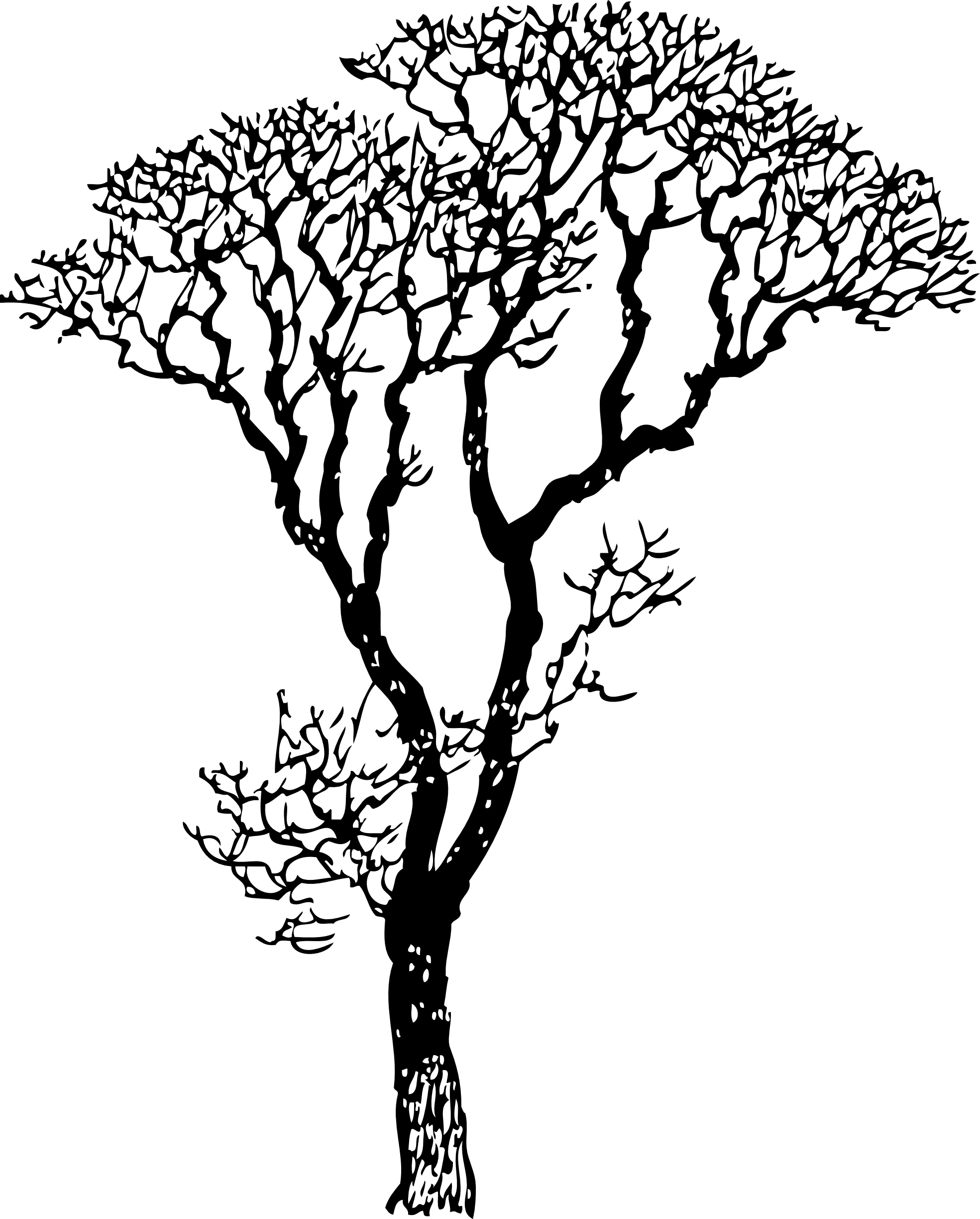 1969x2448 Drawn Dead Tree Dark Tree