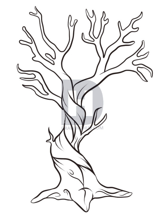 560x720 How To Draw A Dead Tree, Step By Step, Drawing Guide, By
