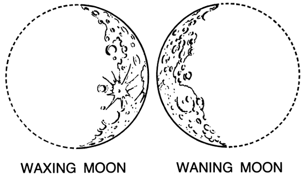 600x349 Collection Of Realistic Crescent Moon Drawing High Quality