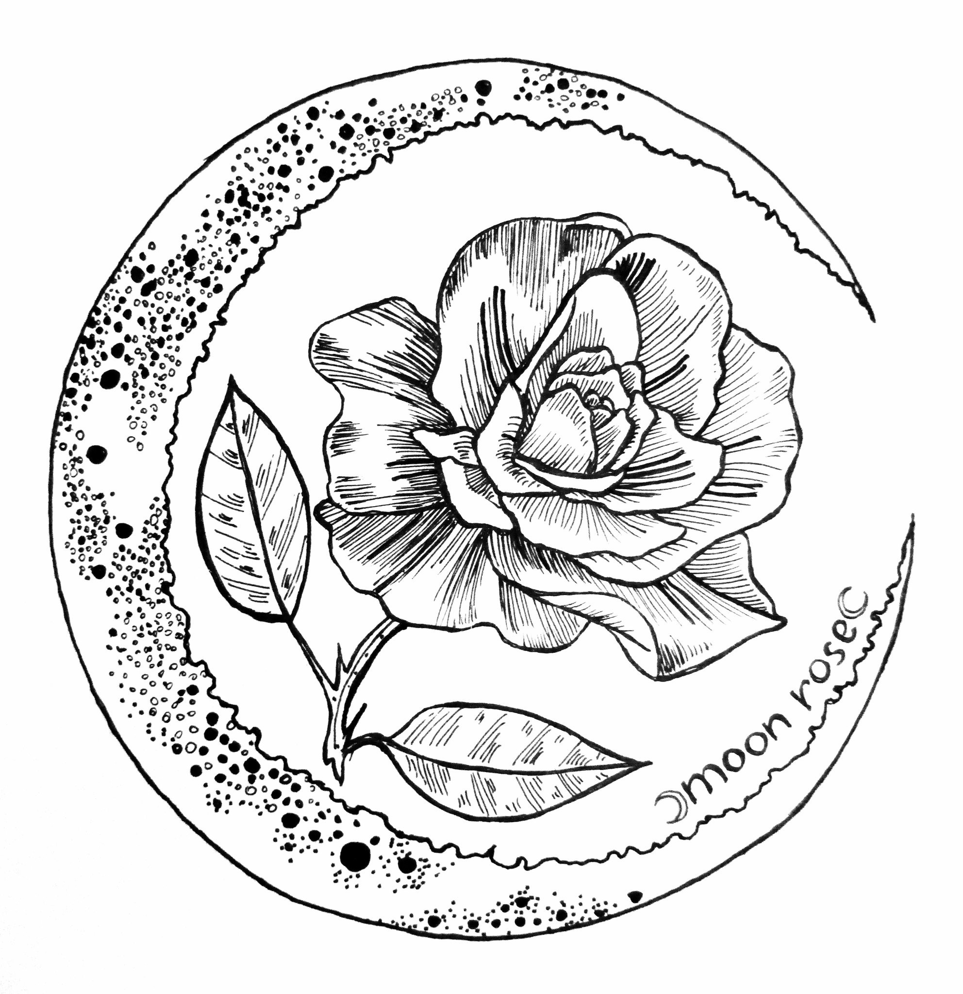 1984x2048 Crescent Moon And Sun Drawing