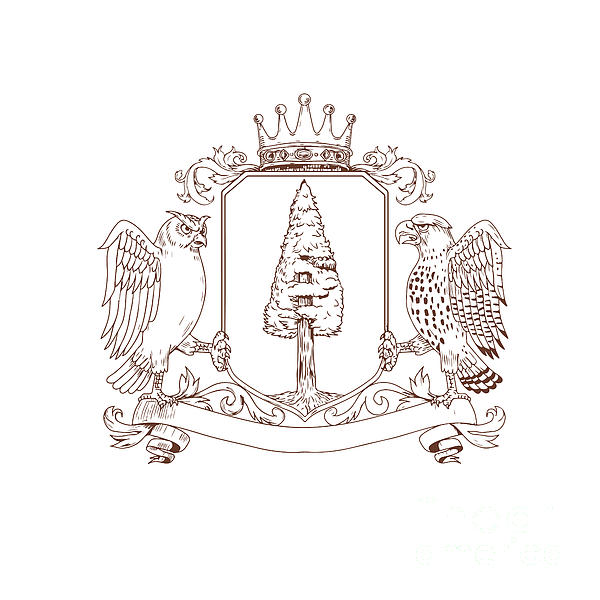 600x600 Owl And Hawk Redwood Crown Crest Drawing Shower Curtain For Sale