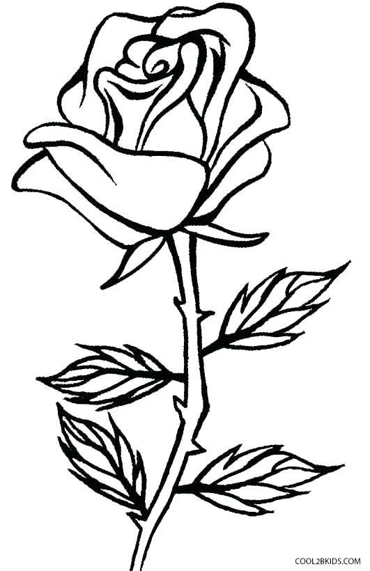 531x820 Crosses With Roses Coloring Pages Coloring Pages Crosses Rose