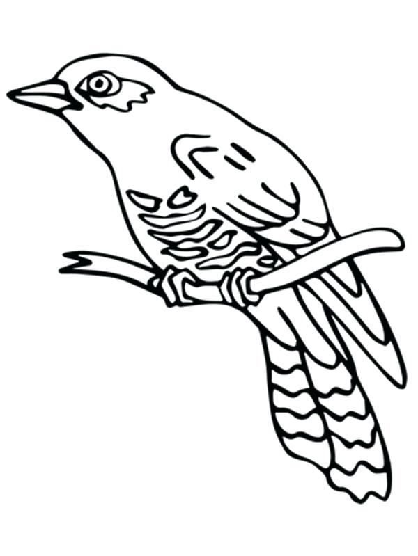 600x799 Coloring Pages Disney Pdf Perched Common Cuckoo Bird Sky Fuhrer