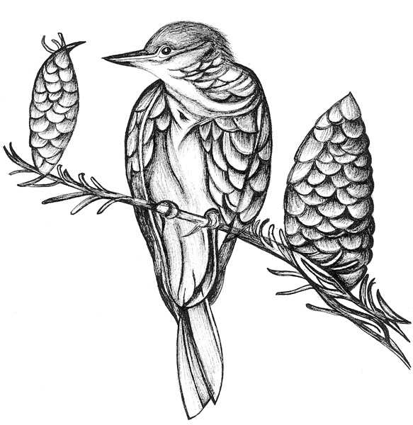 583x600 Drawings Susan Cohen Thompson