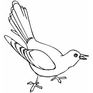 300x300 Collection Of Kokila Bird Drawing High Quality, Free