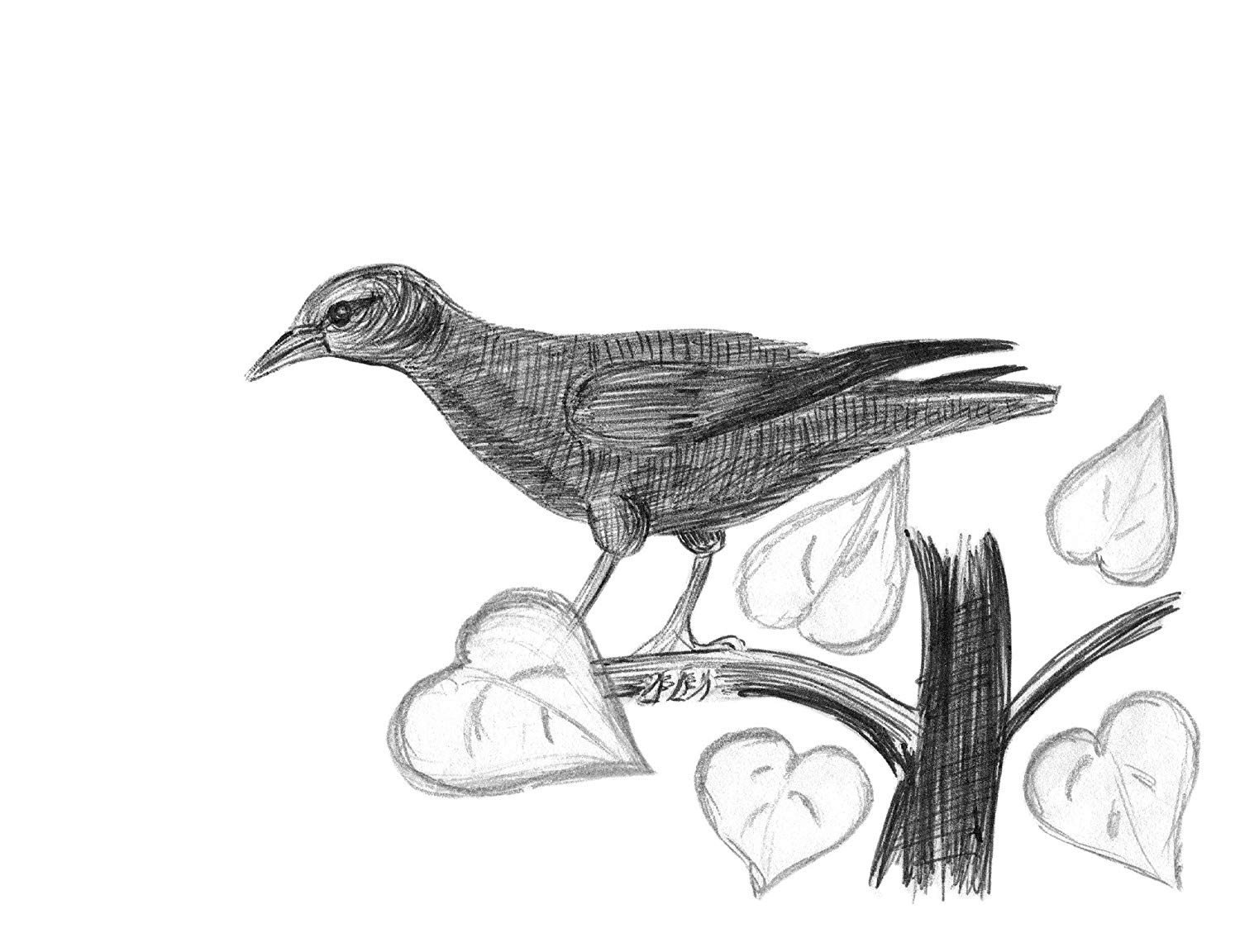 1500x1152 Artist Grade Sketch Kit. Set Of 12 Pencils In Travel