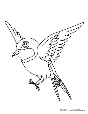 364x470 Bird Coloring Pages For Preschoolers Preschool Kid Drawing Cuckoo