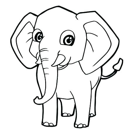 450x450 Elephant Coloring Pictures Cute Elephant Coloring Pages Packed