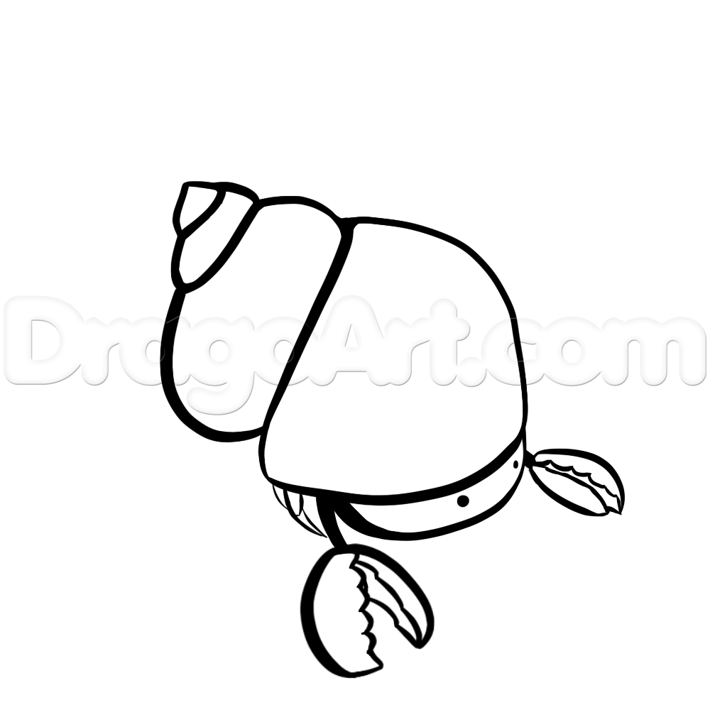 1000x1000 Draw Crab Cartoon Draw A Cute Cartoon Hermit Crab, Stepstep