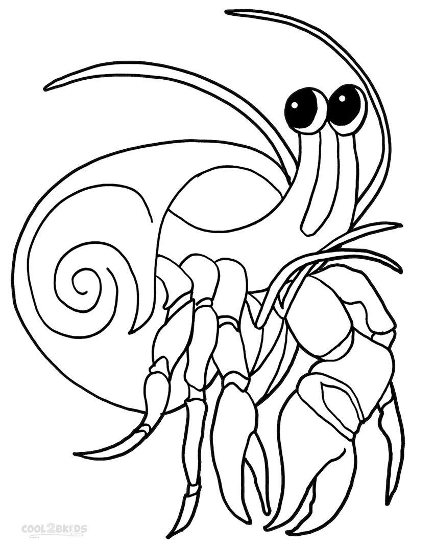 850x1068 Hermit Crab Clipart Cute Little