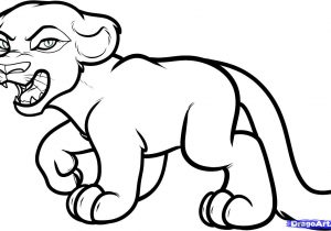 300x210 Cartoon Animal Drawings